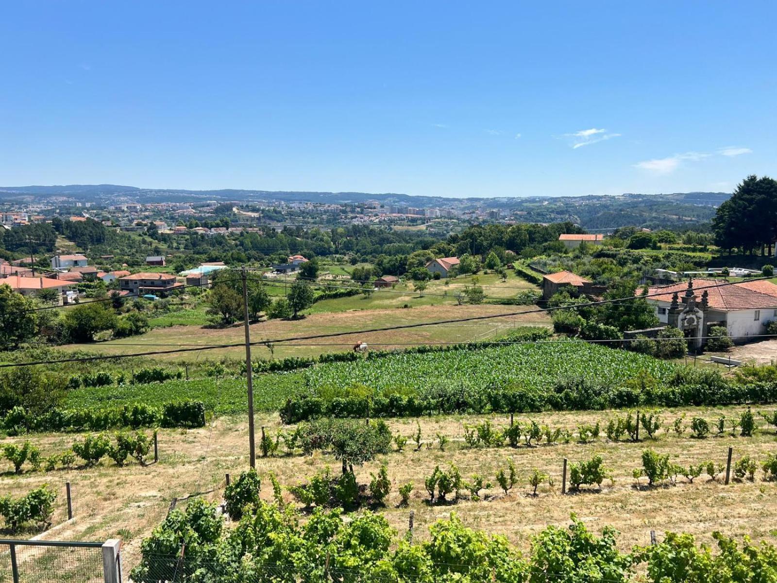 Willa Casa Machado Vila Real Zewnętrze zdjęcie